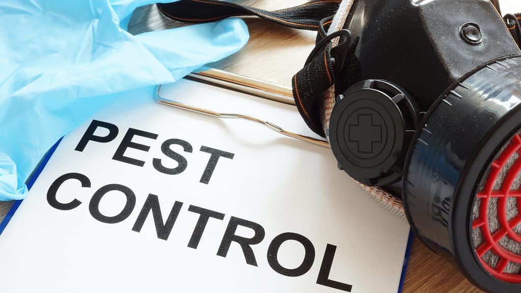 Insta Answer agents are highly trained in handling calls and messages for the pest control industry.