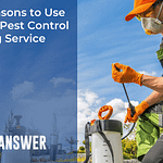 Top 10 Reasons to Use a 24 Hour Pest Control Answering Service