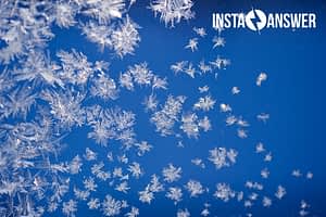 KEEP CUSTOMERS COZY THIS WINTER WITH A WARM VOICE ON THE LINE