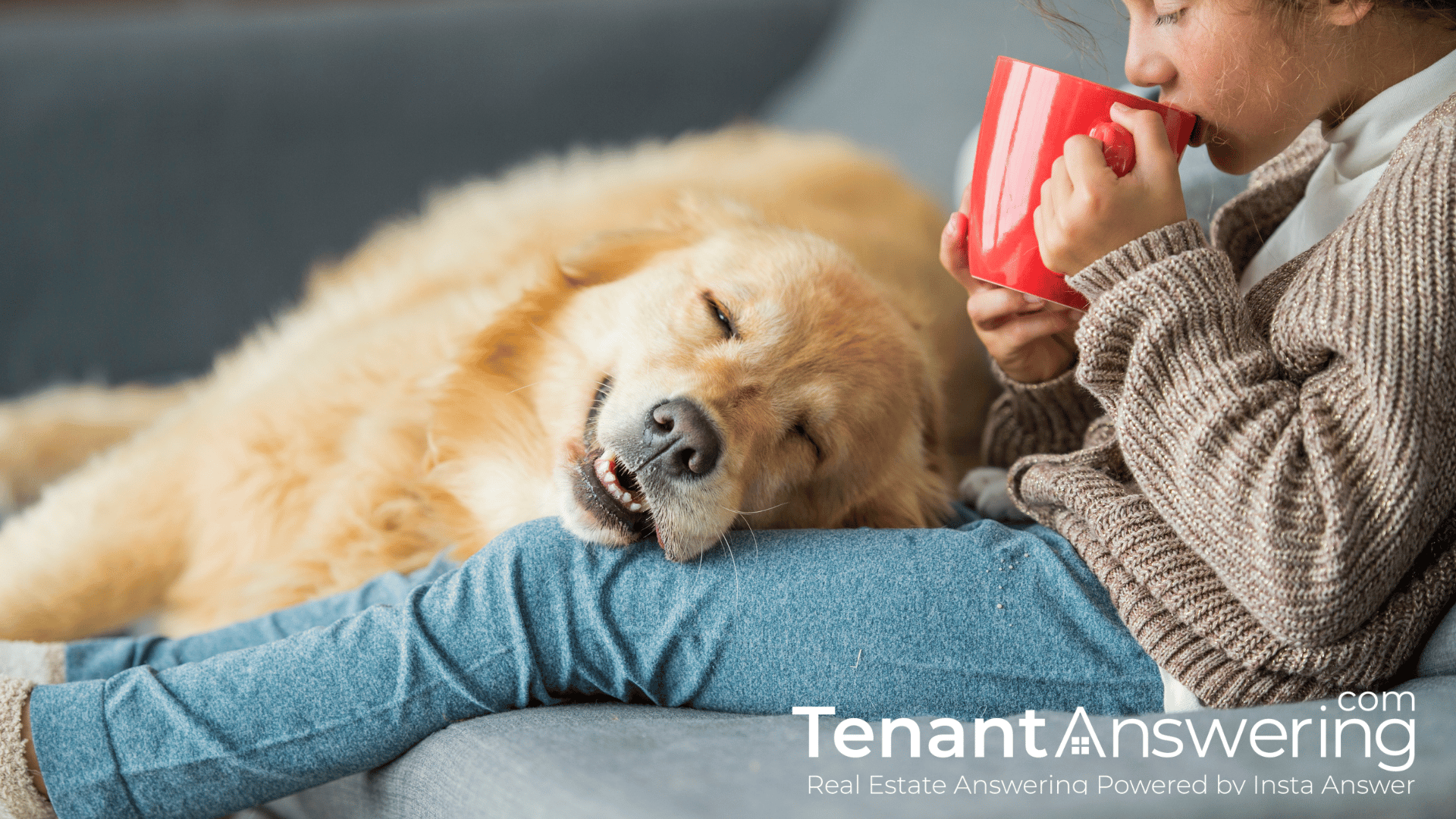 Enhancing Tenant Comfort Through Immediate Assistance Enhancing Tenant Comfort Through Immediate Assistance