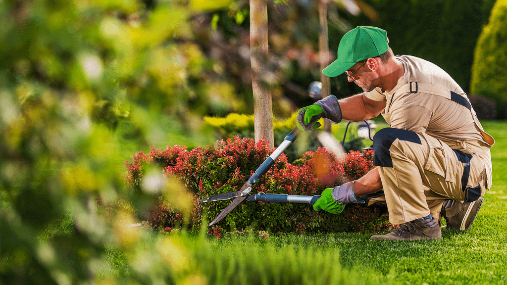 At Insta Answer, our agents know the landscaping business and how to communicate with your customers.